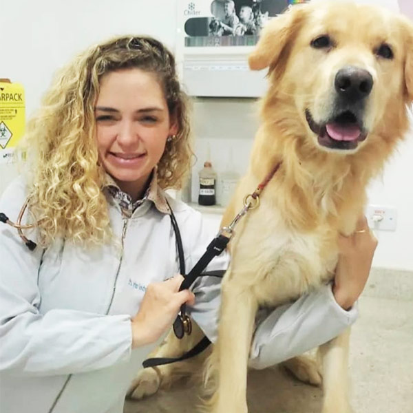 Vetplace SBC Clinica Veterinária , Hospital Veterinário , Pet Shop, Veterinária em São Bernardo